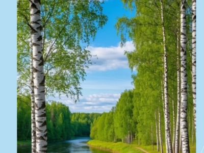 Люблю тебя, моя Россия!