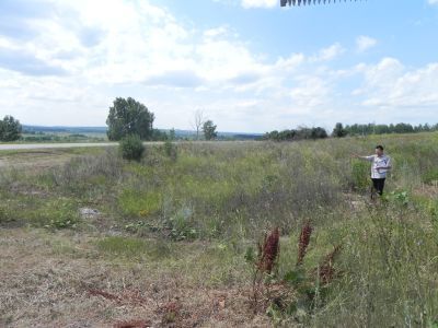 Церковь Покрова Богородицы