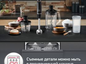 Погружной блендер Moulinex INFINY FORCE V2 DD94L810