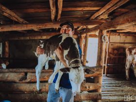 День сайылыка в Якутии: прогулка по летней ферме в Намском улусе