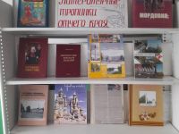 Ширингушская сельская библиотека