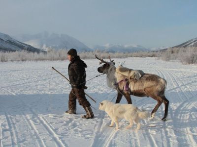 Михаил Погодаев: Включение восьми районов в Арктику улучшит качество жизни