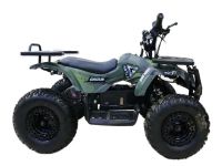 Электроквадроцикл MOTAX Grizlik X16 New E1000