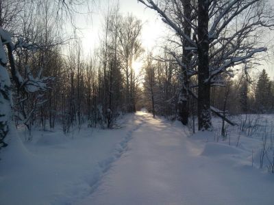 Усадьба Болотова. Парк