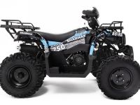 Квадроцикл SHARMAX Activator 250