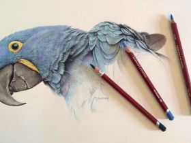 Набор карандашей пастельных Derwent "Pastel Pencils" 12 цв в метал кор