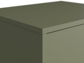 Распашной шкаф Торвалль 1.1-50x185 Оливковый