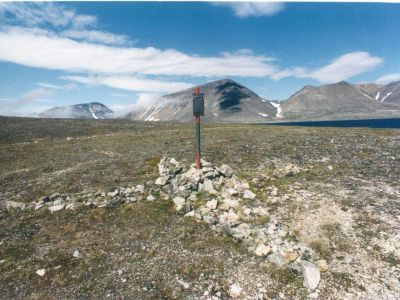 Памятник Серому киту