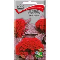 Целозия гребенчатая Императрица