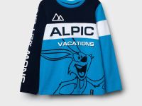 Фуфайка трикотажная для мальчиков (футболка с длинными рукавами)