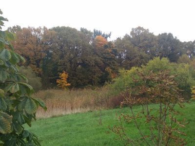 Сад б. Знаменской фермы "Крейт" Шуваловская роща