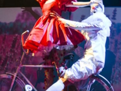 Чёрная кошка, белый кот