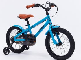 Детский велосипед Pifagor Line 16, год 2023, цвет Черный