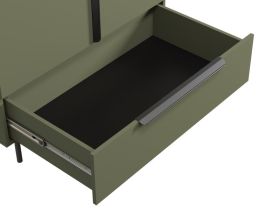 Распашной шкаф Квелен 2-96x220 Оливковый