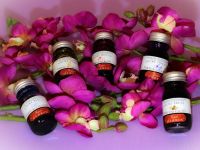 Чернила ароматизированные в банке Herbin, 10 мл, Фиолетовый, Фиалка