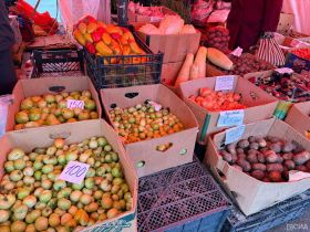 Молочная продукция, мясо и овощи: обзор цен на ярмарке «Продовольствие-2025» в Якутске