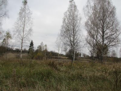 Родина Героя Советского Союза Н.М. Павлова, погибшего в феврале 1945 г.