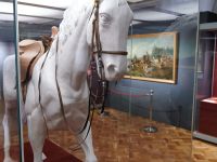 Музей им. М. А. Врубеля – Центр «Эрмитаж-Сибирь»