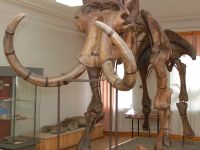 Пензенский государственный краеведческий музей