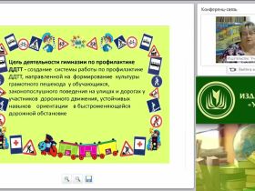 Организация работы по профилактике детского дорожно-транспортного травматизма (в условиях реализации ФГОС)