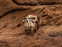 Бусина для темляка Череп с клыками, бронза