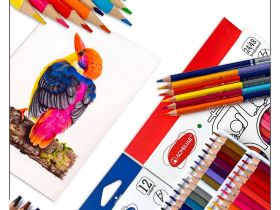 Набор карандашей цветных трехгранных Acmeliae 36 цв, в картонном футляре