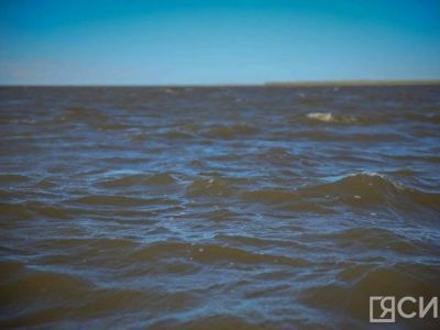 Более 32 млн личинок сиговых и молоди осетра выпущено в реки в Якутии в 2024 году