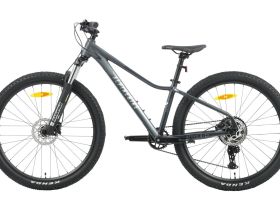 Женский велосипед Alpine Bike Pegas 8-27, год 2026, цвет Серый, ростовка 16