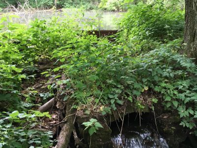 Мостик горбатый и каменное ложе протоки на каскаде в Верхнем парке