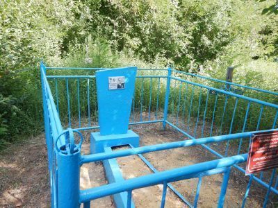 Могила Героя Социалистического Труда Бутыриной Ольги Николаевны (1916-1974)