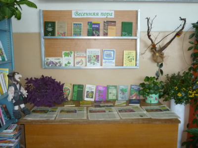 Асмоловская сельская библиотека