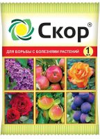 Скор