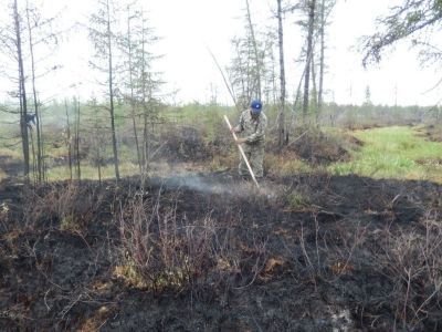 Якутия дополнительно получит более 120 миллионов рублей на тушение лесных пожаров