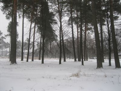 Памятное место, где в 1942-1943 гг. находился концентрационный лагерь, в котором погибли тысячи советских людей