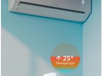 SBDV-00079 белый