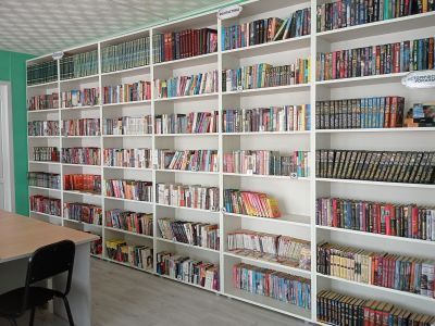 Дубынская библиотека