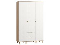 Распашной шкаф Теджонс 3-139x224 Деко Белый