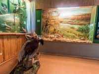 Зубцовский краеведческий музей