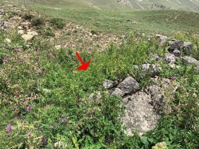 Хозяйственная постройка № 13 архитектурного комплекса "Мусийкъонгийкоте"