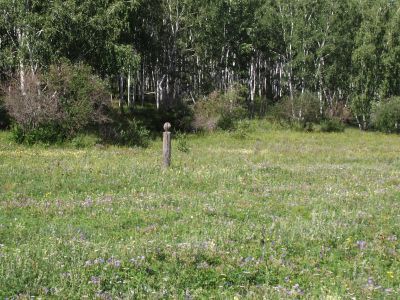 Нэрьетэ барьса