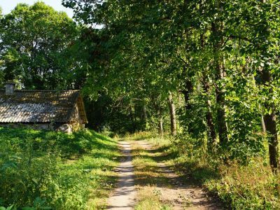 Усадебный парк в бывшем имении кн. Львова
