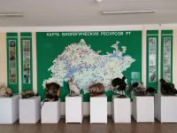 Музей экологии и охраны природы г. Набережные Челны