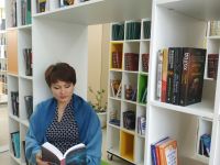 Палласовская модельная библиотека «Глобус»