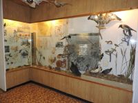 Инжавинский краеведческий музей