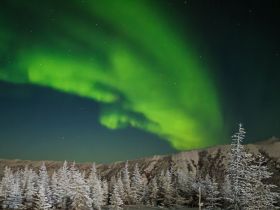 «Discovery of Arctic Yakutia»