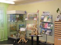 Библиотека № 10 г. Норильска