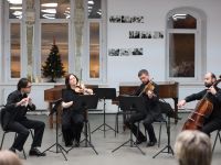 Студия Musica Viva