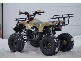 Квадроцикл MOTOLAND 125 Fox A