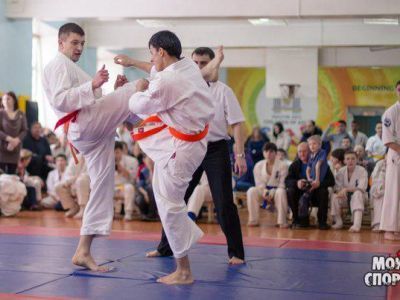 Внедрение в школах Дальнего Востока занятий по кикусинкай-карате обсудили в правительстве Якутии