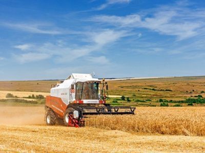 Сельхозпроизводители рассказали о выборе зерноуборочной техники